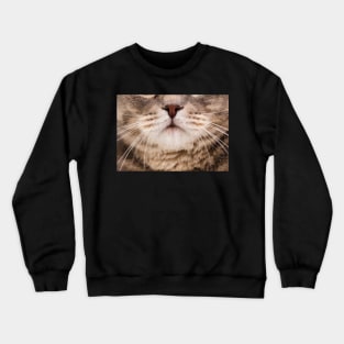 Funny Cat Face Crewneck Sweatshirt